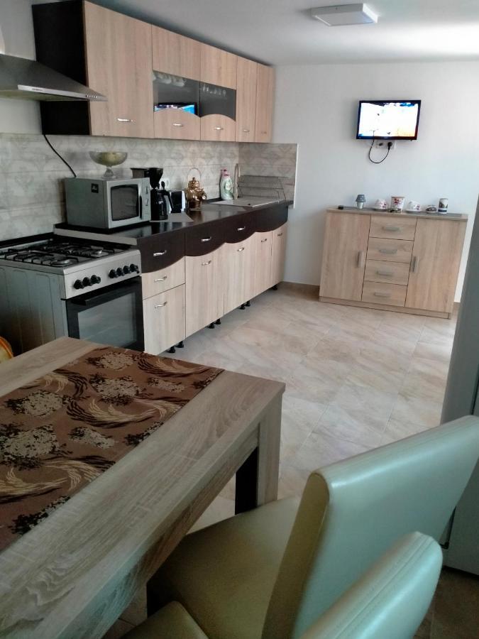 Casa Luminita Villa เอเชลนิทซา ภายนอก รูปภาพ