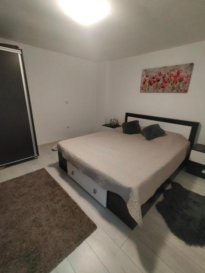 Casa Luminita Villa เอเชลนิทซา ภายนอก รูปภาพ