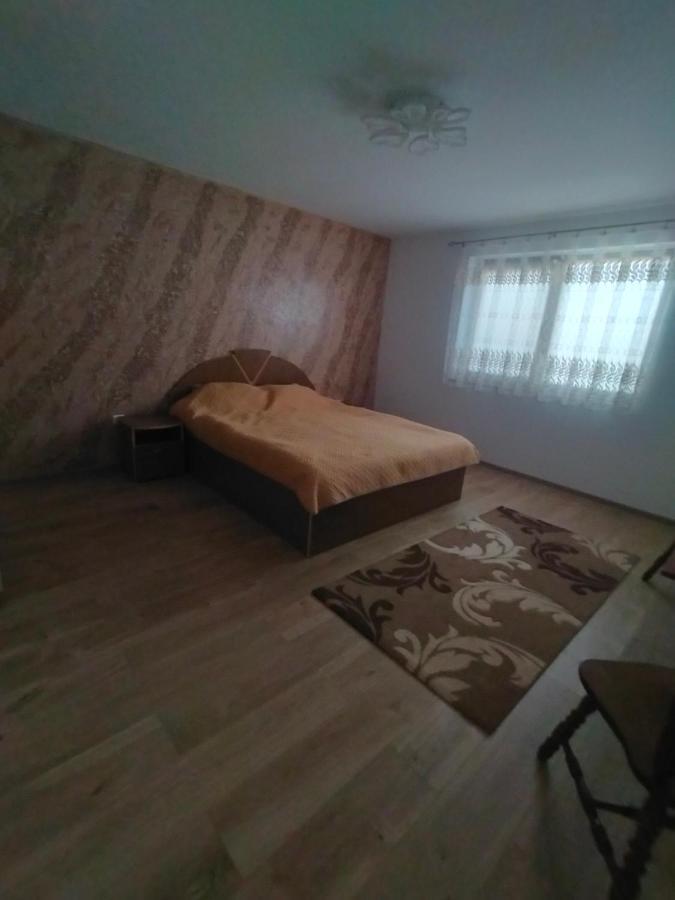 Casa Luminita Villa เอเชลนิทซา ภายนอก รูปภาพ