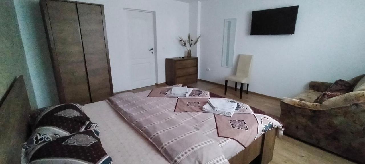 Casa Luminita Villa เอเชลนิทซา ภายนอก รูปภาพ