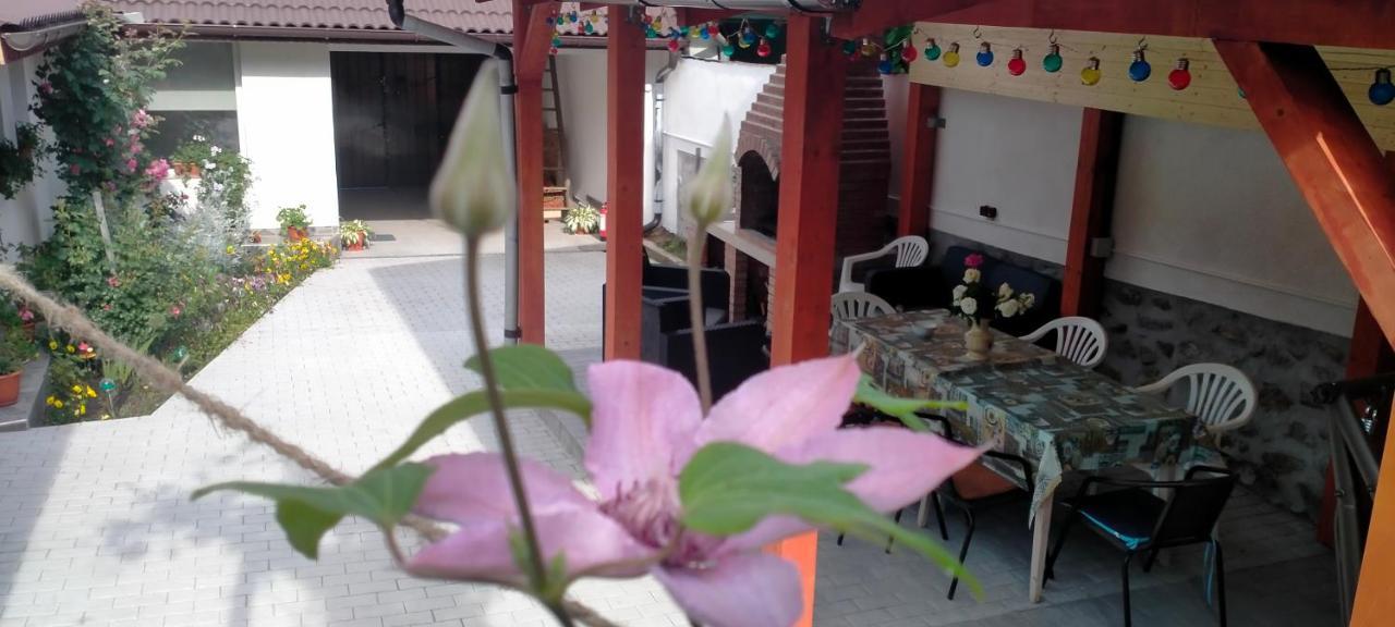 Casa Luminita Villa เอเชลนิทซา ภายนอก รูปภาพ