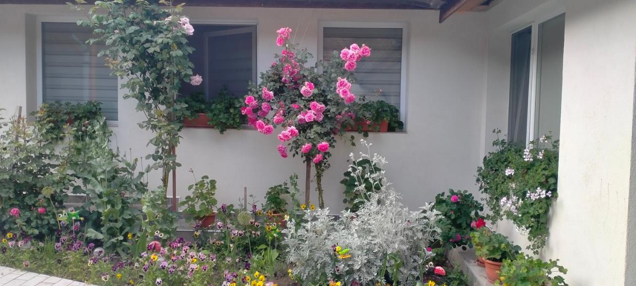 Casa Luminita Villa เอเชลนิทซา ภายนอก รูปภาพ