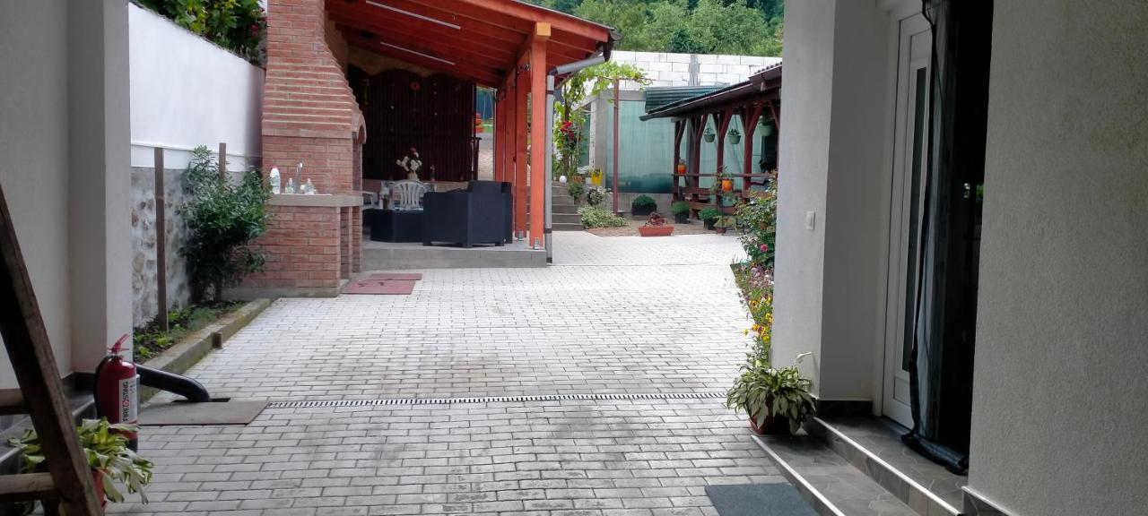 Casa Luminita Villa เอเชลนิทซา ภายนอก รูปภาพ